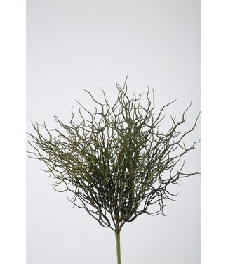 Wild Twig Branch 38cm