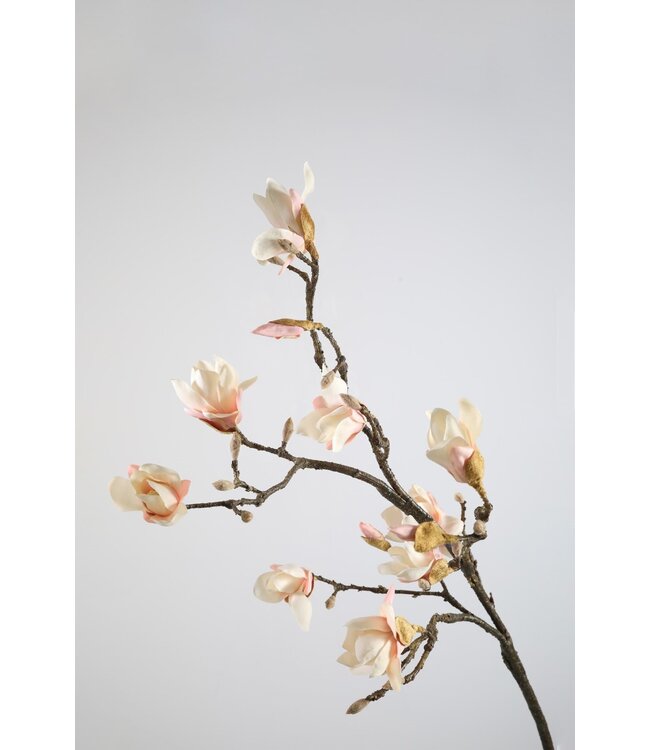 Magnolia tak 107cm roze