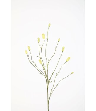 Burnet spray groen