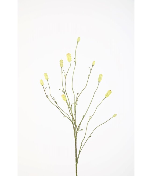 Burnet spray groen