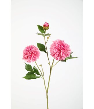 Dahlia Spray x3 flwr 71cm dia 10cm rose