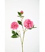 Dahlia Spray x3 flwr 71cm dia 10cm rose