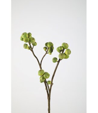 Fig Branch 95cm