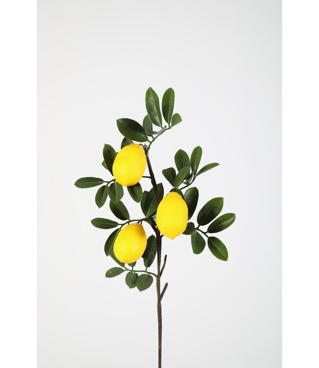 Lemon Teardrop 81cm