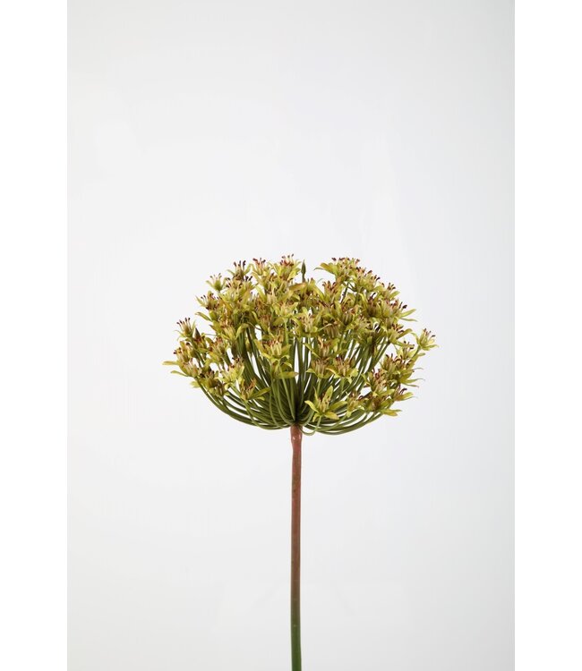 Allium Stem 86cm groen