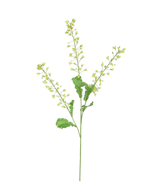 Rapeseed Flower – kunsttak met groene koolzaadbloemen, 110 cm hoog