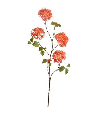 Magnoliatak 110 cm Oranje