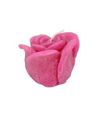 Candle Roos Fuchsia  11x9cm