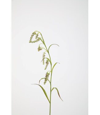 Seed Spray 90cm