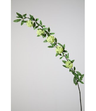 Viburnum Spray 85cm