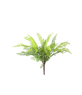 PTMD Fern Plant Green fern leaves spray