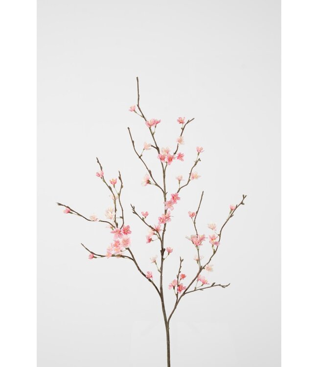 Blossom Sakura x13 85cm rose