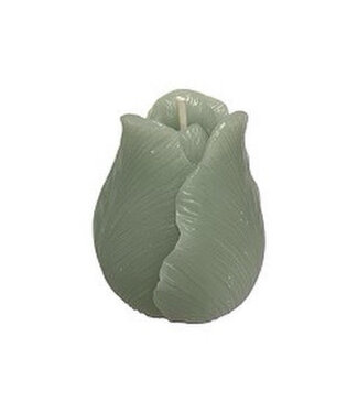 Deco Kaars Tulp Celadon