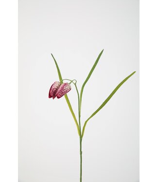 Fritillaria Spray 54cm paars