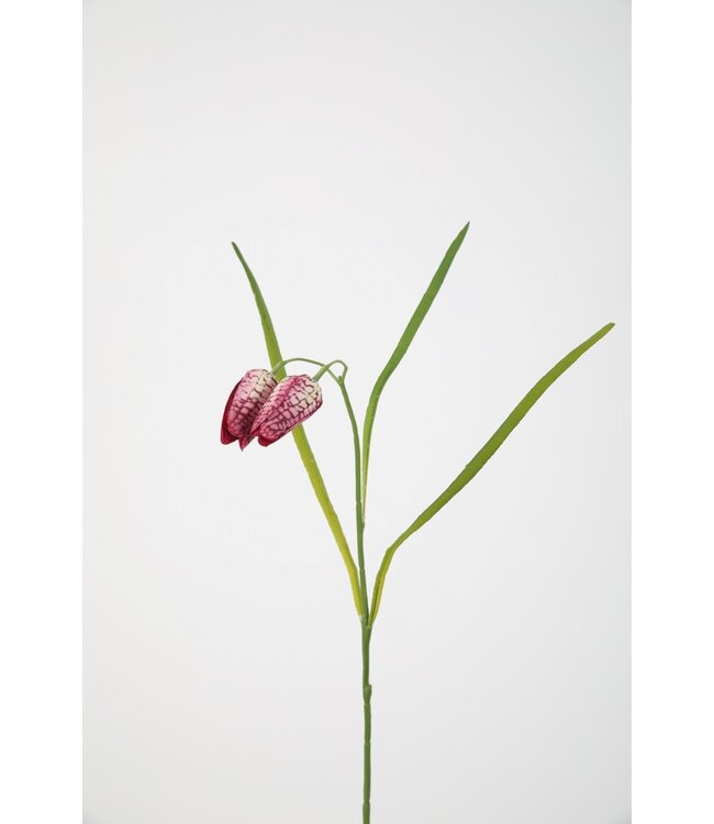 Fritillaria Spray 54cm paars