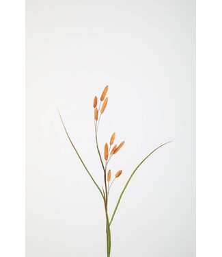 Dried Bunny Tails Spray 114cm oranje