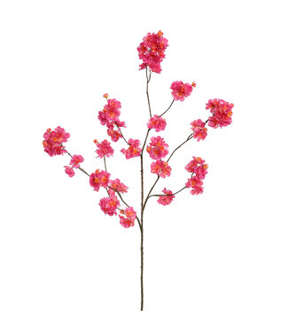Large Kanzan Blossom 130 cm – Beauty