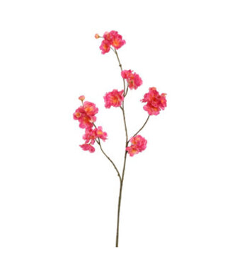 SMALL KANZAN BLOSSOM 85CM  BEAUTY