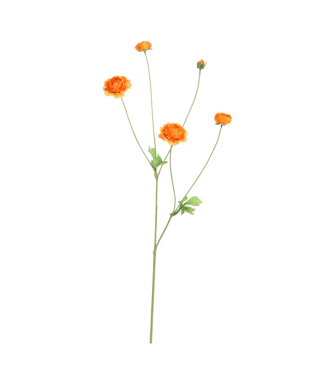 RANUNCULUS 90CM ORANGE