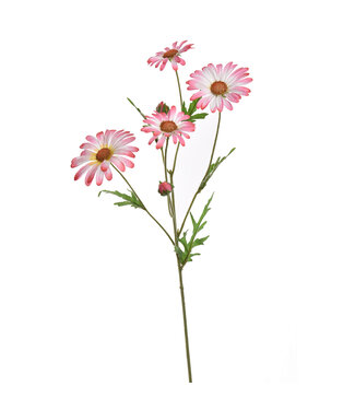 DAISY SPRAY 60CM PINK