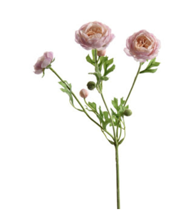 RANUNCULUS SPRAY X 3 66CM LILAC