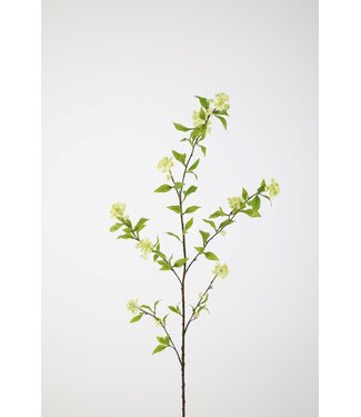 Snowball branch x6