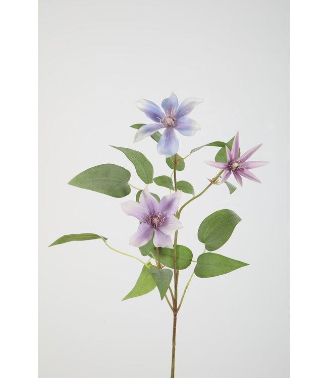 Clematis Spray 86cm lila