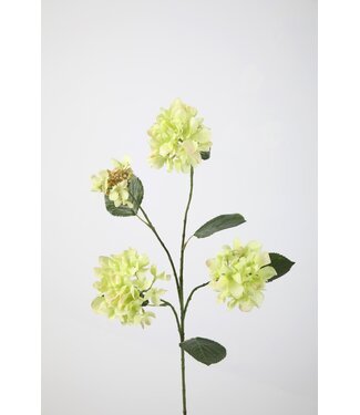 Hydrangea Spray 80cm