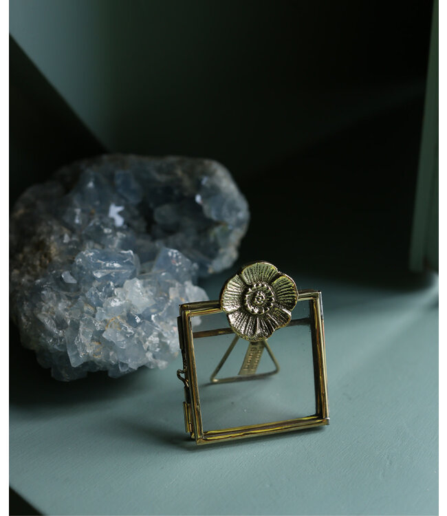 Mia Poppy Frame Mini