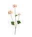 BEGONIA FLOWER 75CM PEACH