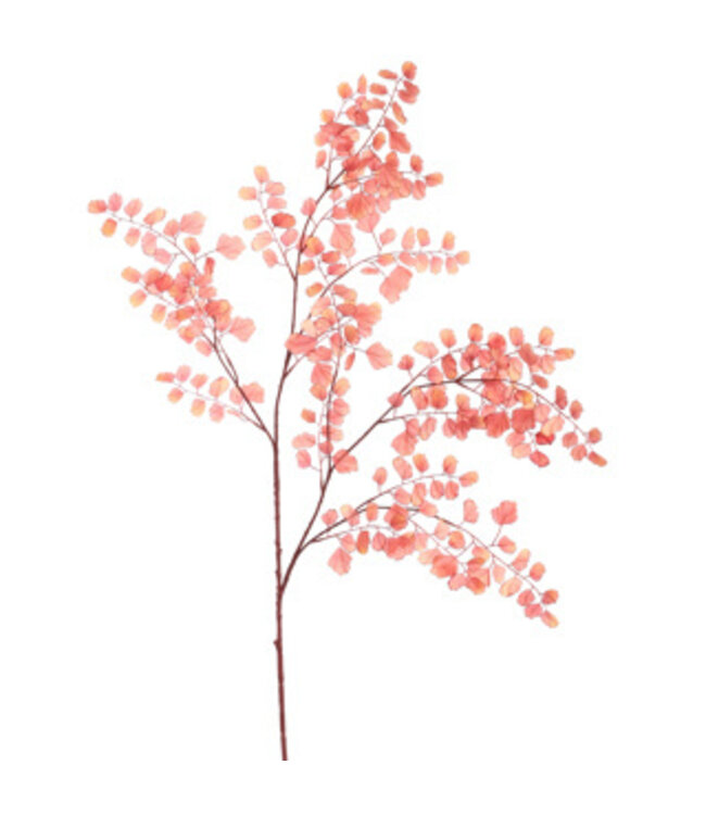 LARGE CELERY LEAF 130CM Peach