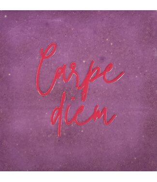 Carpe Diem Lila/fuchsia