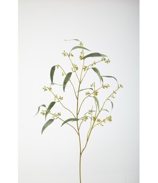 Eucalyptus Seeds Spray 97cm