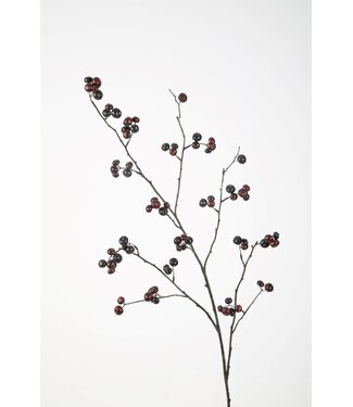 Rosehip Spray 105cm paars
