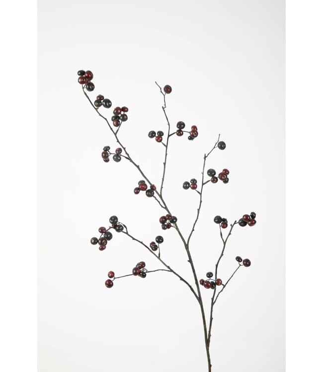 Rosehip Spray 105cm paars