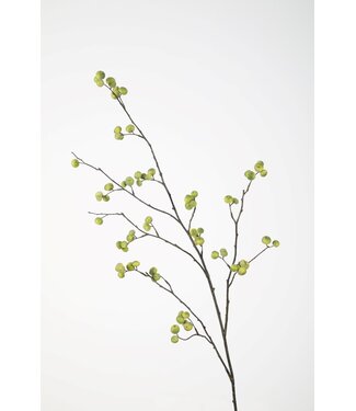 Rosehip Spray 105cm groen