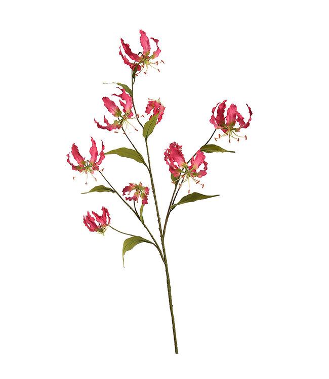 LARGE GLORIOSA SPRAY X 9 125CM FUCHSIA