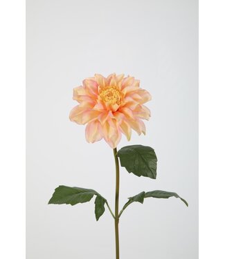 Dahlia Stem 55cm Dia 13cm