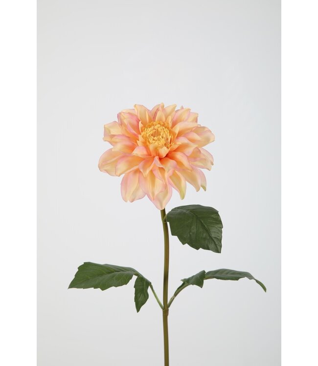 Dahlia Stem 55cm Dia 13cm
