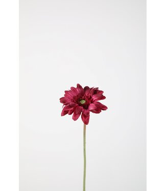 Single Mini Gerbera 47cm fuchsia