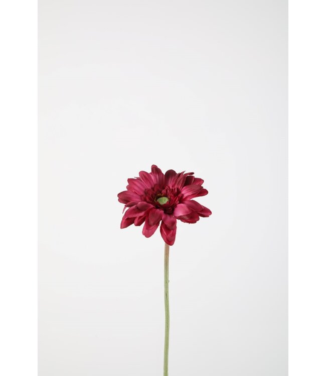 Single Mini Gerbera 47cm fuchsia