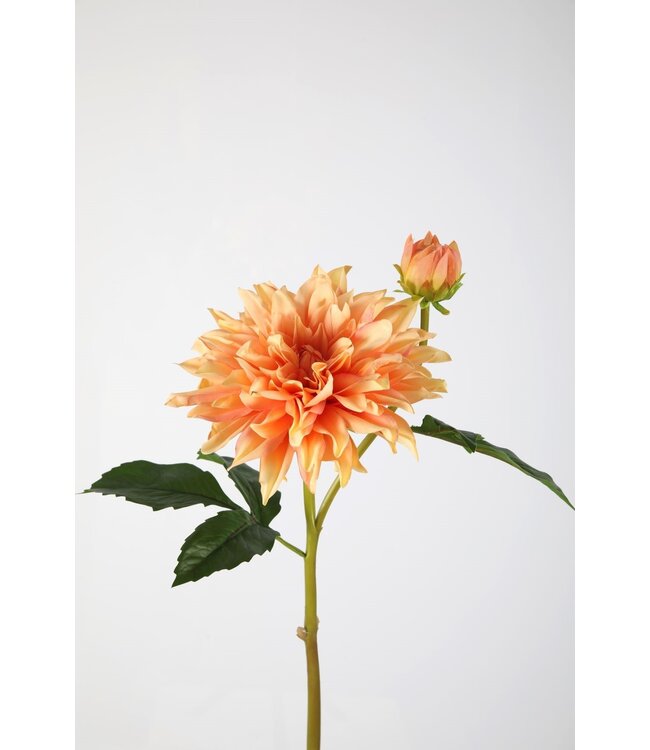 Dahlia Spray 75cm zalm