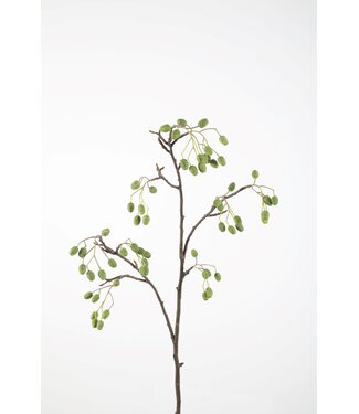 Catkins Spray 95cm