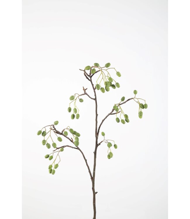 Catkins Spray 95cm