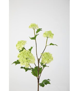 Snowball Spray x5 86cm