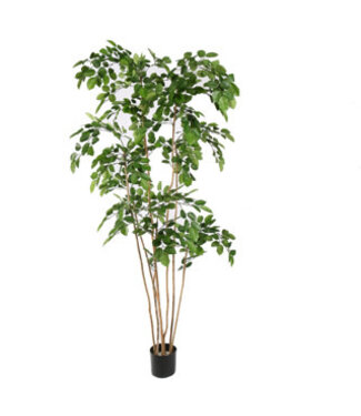 BEECH TREE 210CM GREEN