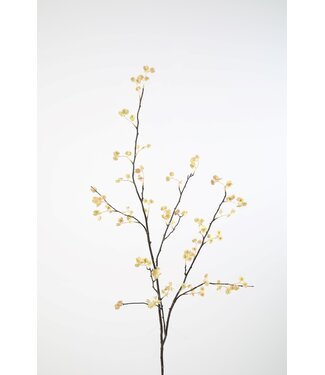 Elm Seed Spray 132cm beige