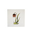 Tegel Wildflower 04