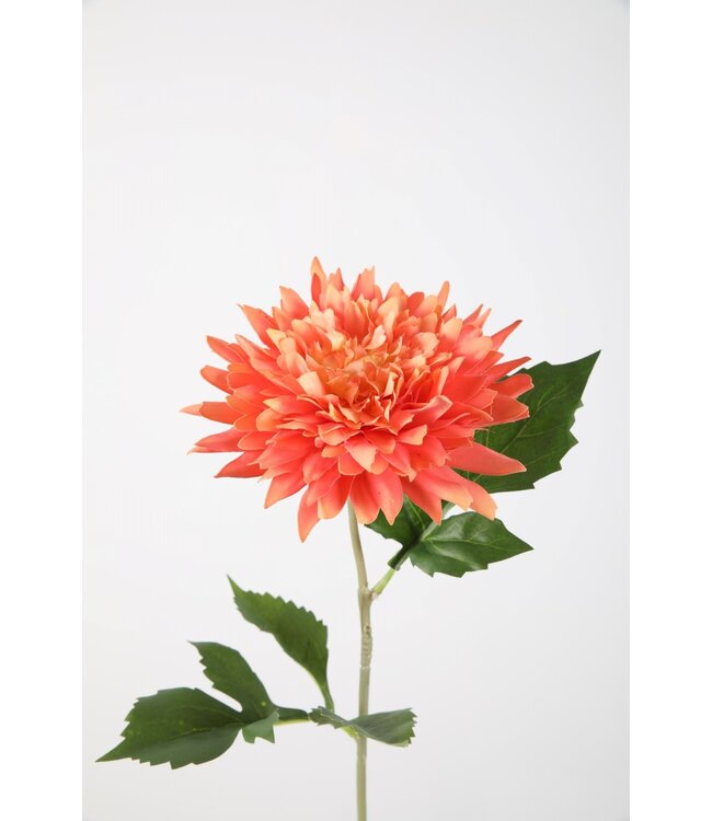 Dahlia Spray 65cm dia 13cm