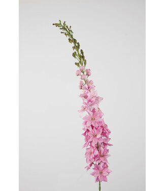 Delphinium w/24flrs 131cm lila